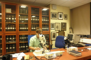 Natural History Museum London