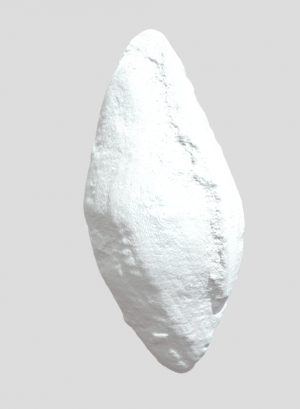 Fusulinid Stl Model